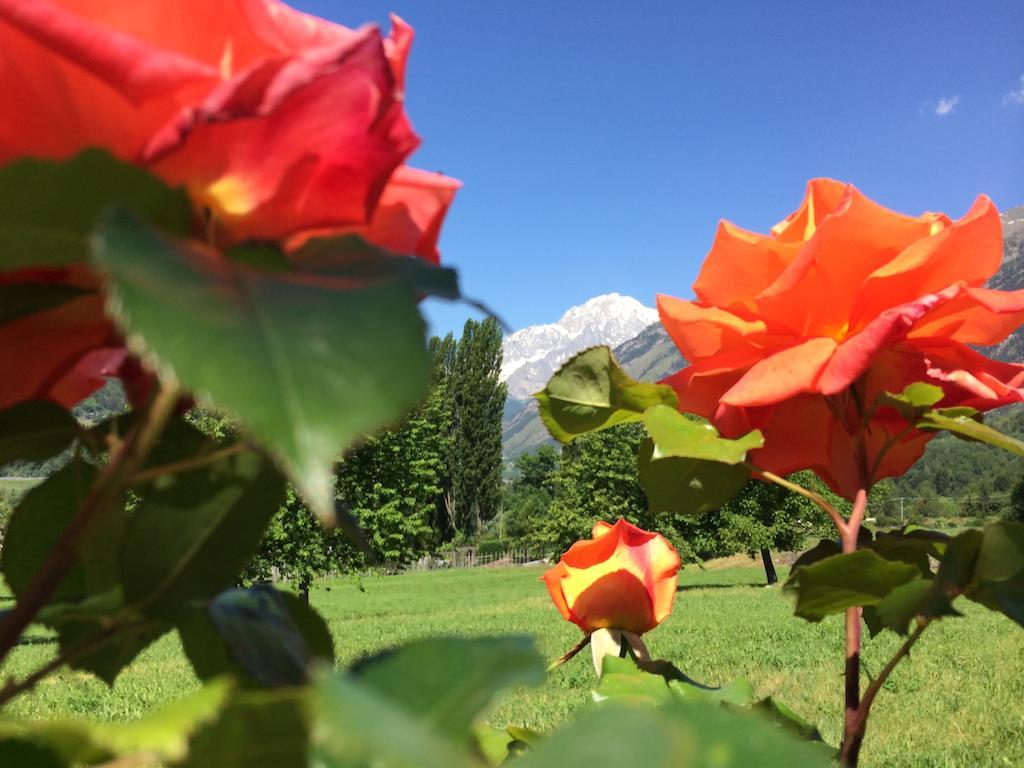 Villamour Boutique Hotel & Spa La Salle Buitenkant foto