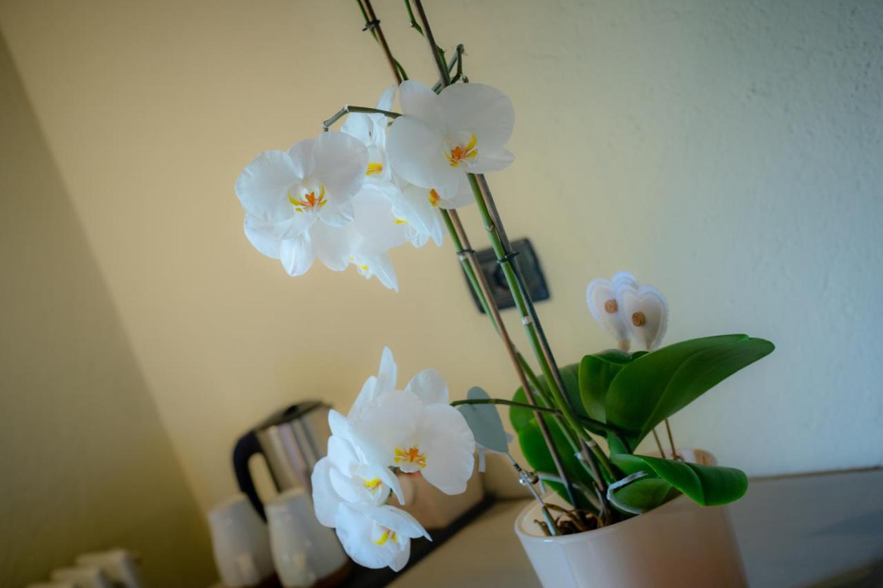 Villamour Boutique Hotel & Spa La Salle Buitenkant foto